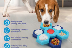 4 couches de bols à mangeoire lente