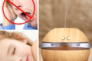 Diffuseur d'huiles essentielles Humidificateur