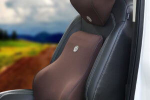 Coussin lombaire en coton à mémoire de forme pour voiture