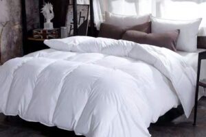 Couette en duvet d'oie
