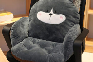 coussin décoratif pour la maison