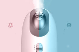 Vaporisateur facial chaud et froid