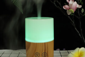 Mini humidificateur d'air Bluetooth Audio Aroma Diffuser