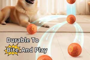 Ballon sauteur automatique