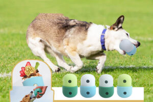 Jouet de fuite 2 en 1 pour chien