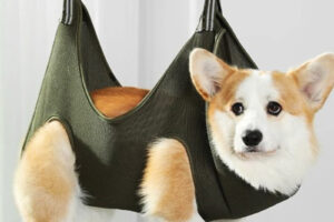 Harnais hamac de toilettage