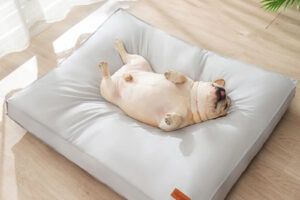 Lit imperméable pour petit, moyen, grand chien