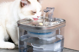 Fontaine intelligente en acier inoxydable