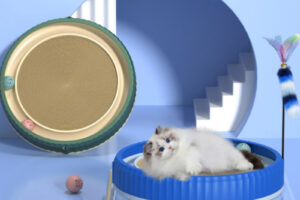 Planche à gratter pour chat