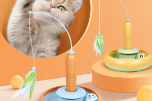 2 en 1 Jouet pour chat avec plume