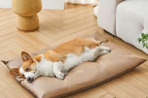 Matelas pour animaux de compagnie