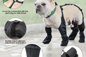 Chaussures pour chien imperméables