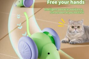 Jouet interactif pour chat